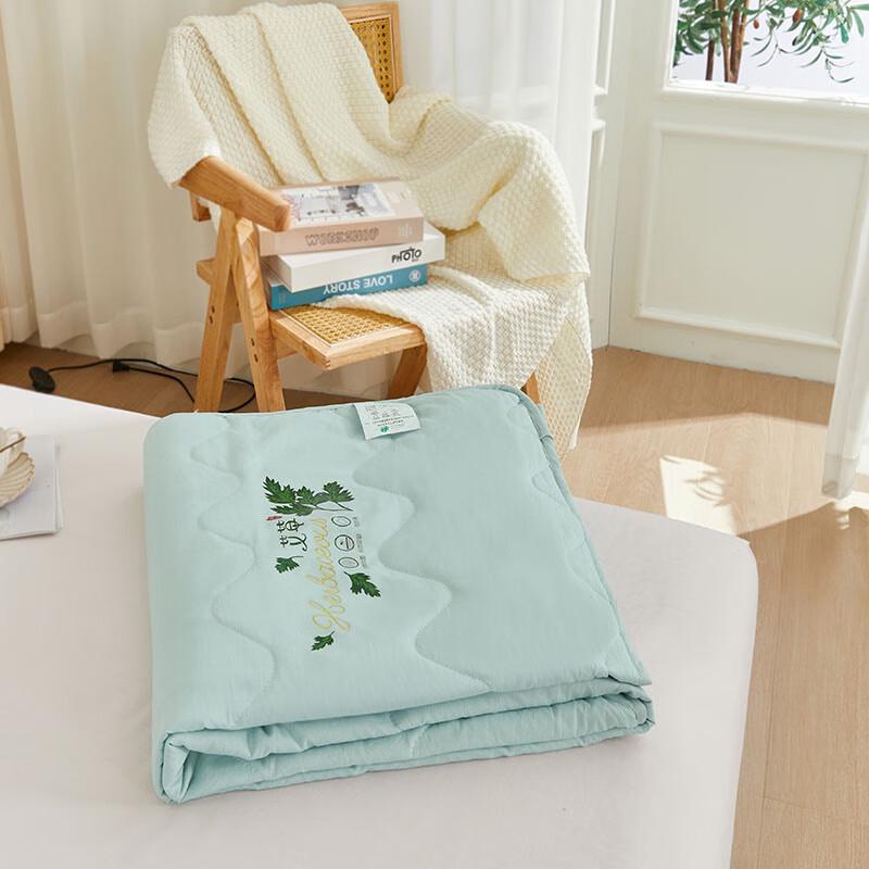 Shanshan Mugwort Healthy Summer Quilt