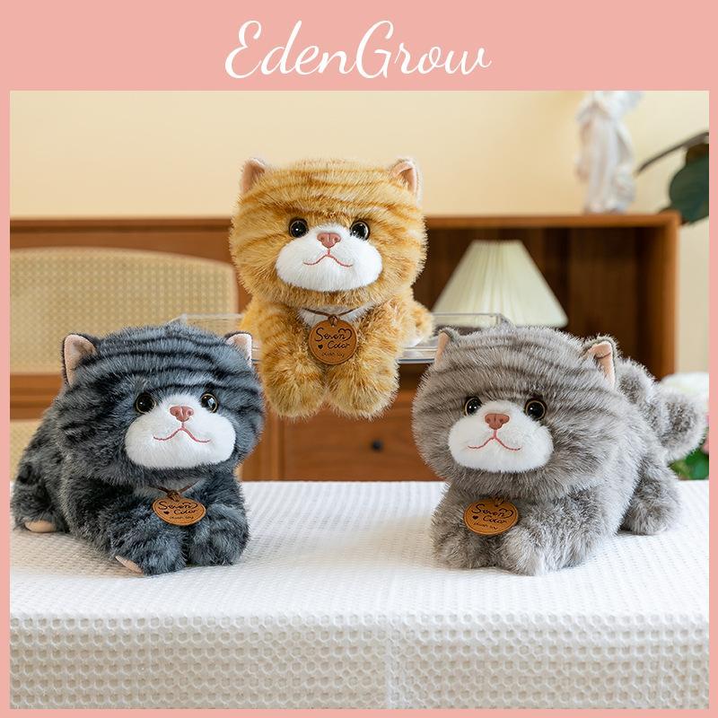 Cat Cute Plush Toys Cartoon Girl Children Bedroom Decoration Presents Dolls