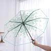 Funny Folding Umbrella Windproof Manual Umbrella Korean Cherry Blossom Transparent Umbrella  Home