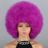 MISSQUEEN Duhová kudrnatá afro paruka pro děti Ženy Kudrnatá afro paruka ze syntetického vlákna Cosplay Denní nošení Kinky Curly Paruka