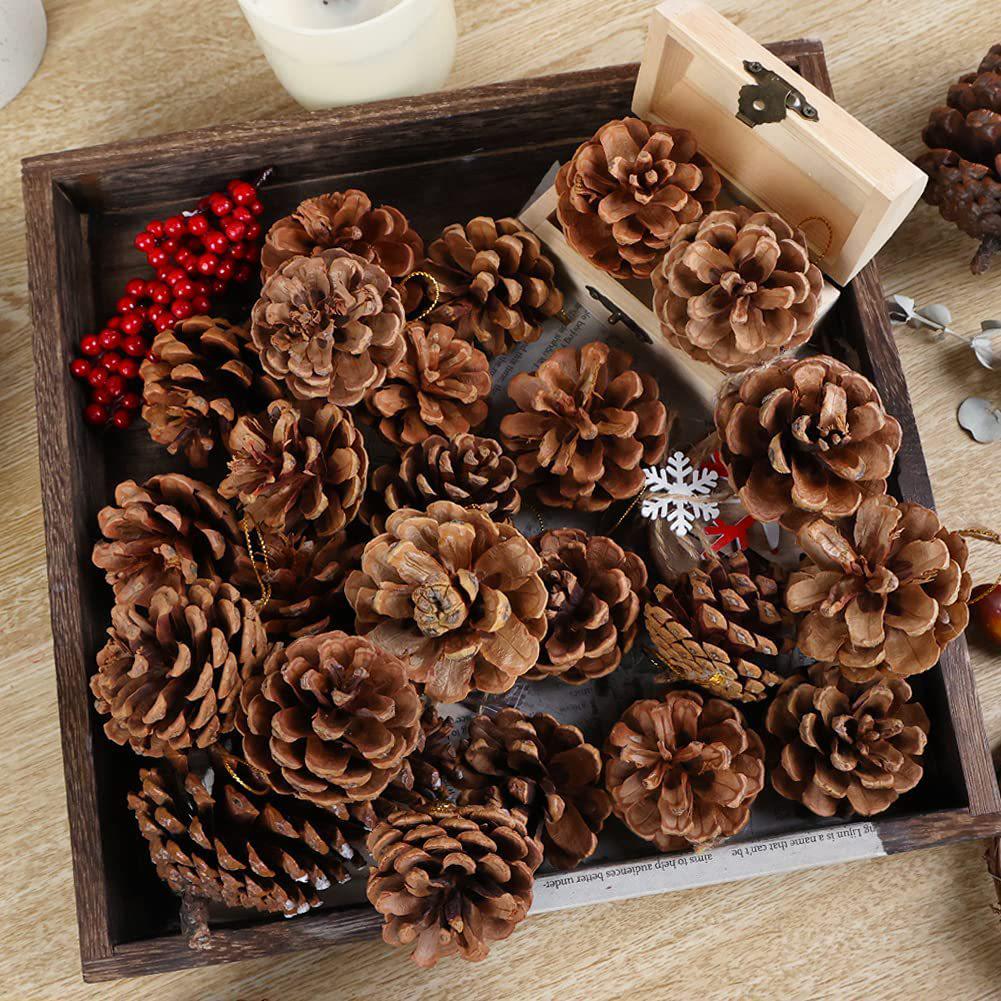 Natural Pine Cones for Halloween & Christmas DIY Crafts, Ornaments, Pendants, Decorations & Photography Props
