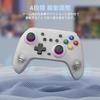 Switch Controller Wireless Hall Effect Stick RGB Light Back Buttons TURBO Rapid Fire 4-level Vibration Adjustment 6-axis Gyro Sensor 800mAh Battery PC