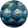 1pc Oceanic Predation Theme Soccer Ball Football, Size 5, Lightweight PVC, Durable Outdoor Training Soccer Ball, Gift M61481