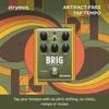 Brigg Delay Strymon Strymon/BRIG