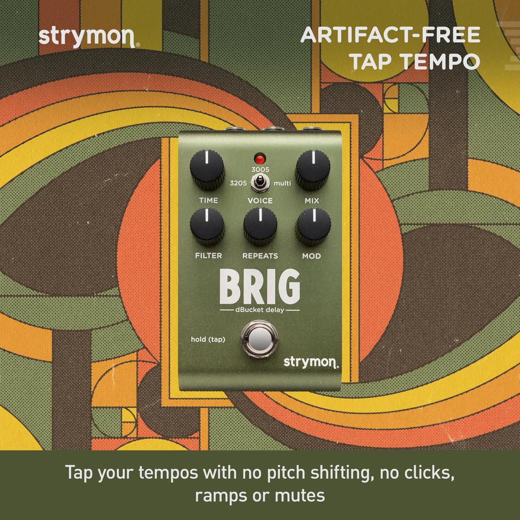 Brig Delay Strymon Strymon/BRIG