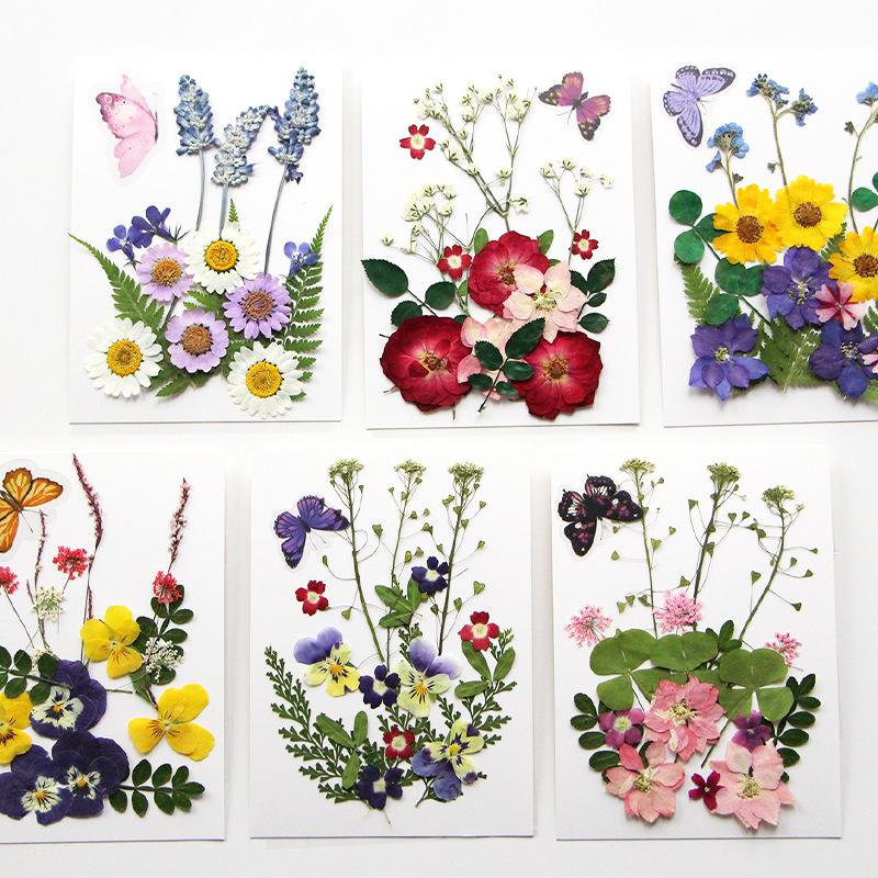 Diy Handmade Embossed Bookmarks 6 Colors Dried Flower Embossing Kit Dried Flower Hand Paste Face Makeup Leaf Veins Dried Flowers