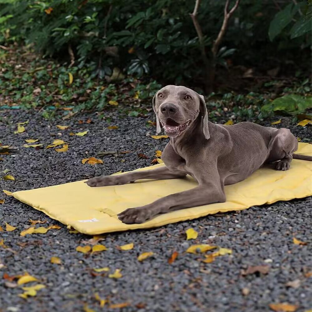 Pet Supplies Pet Pad Warm Dog Kennel Dog Mattress Waterproof Warm Foldable Storage Kennel Dog Pads 