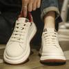 Autumn and Winter New Thick-soled Heightening Solid-color Board Shoes Light Luxury Versatile Sports and Leisure Shoes Men's