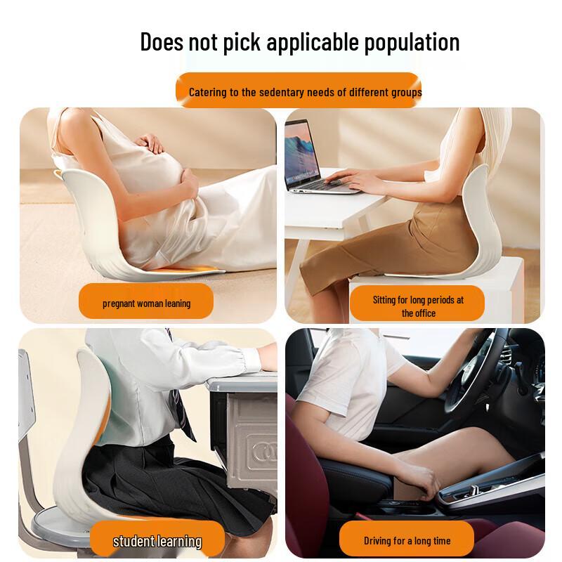 Ergonomic Lumbar and Back Support Cushion CN plug (adapter included)