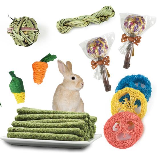 rabbit chew toys