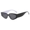Panda Outline Colorblock Sunglasses 2025: Trendy European and American Fashion for Women