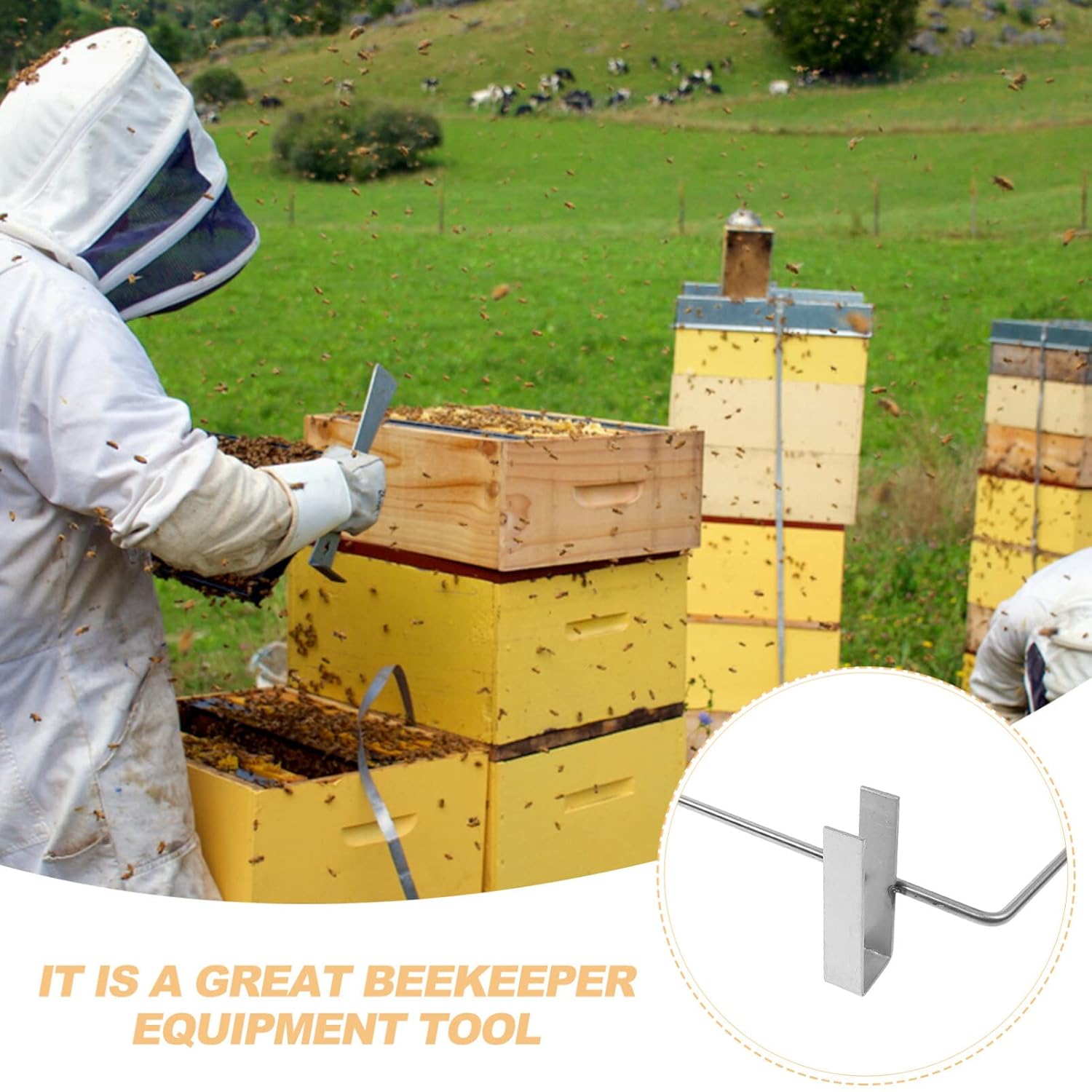 

YARNOW Beehive Frame Holder, Stainless Steel, Durable Beekeeping Frame Lifter, Support Bracket for Beekeepers, 18.1 x 6.7 x 3.9 Inch, Silver