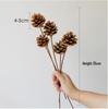 High-End Wabi-Sabi Dried Flower Decor: Natural Reeds & Wheat for Living Room or Homestay.