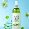 FRUIT OF THE EARTH Aloe Cica Moisture Calming Mist Toner, 1 pc, 250ml