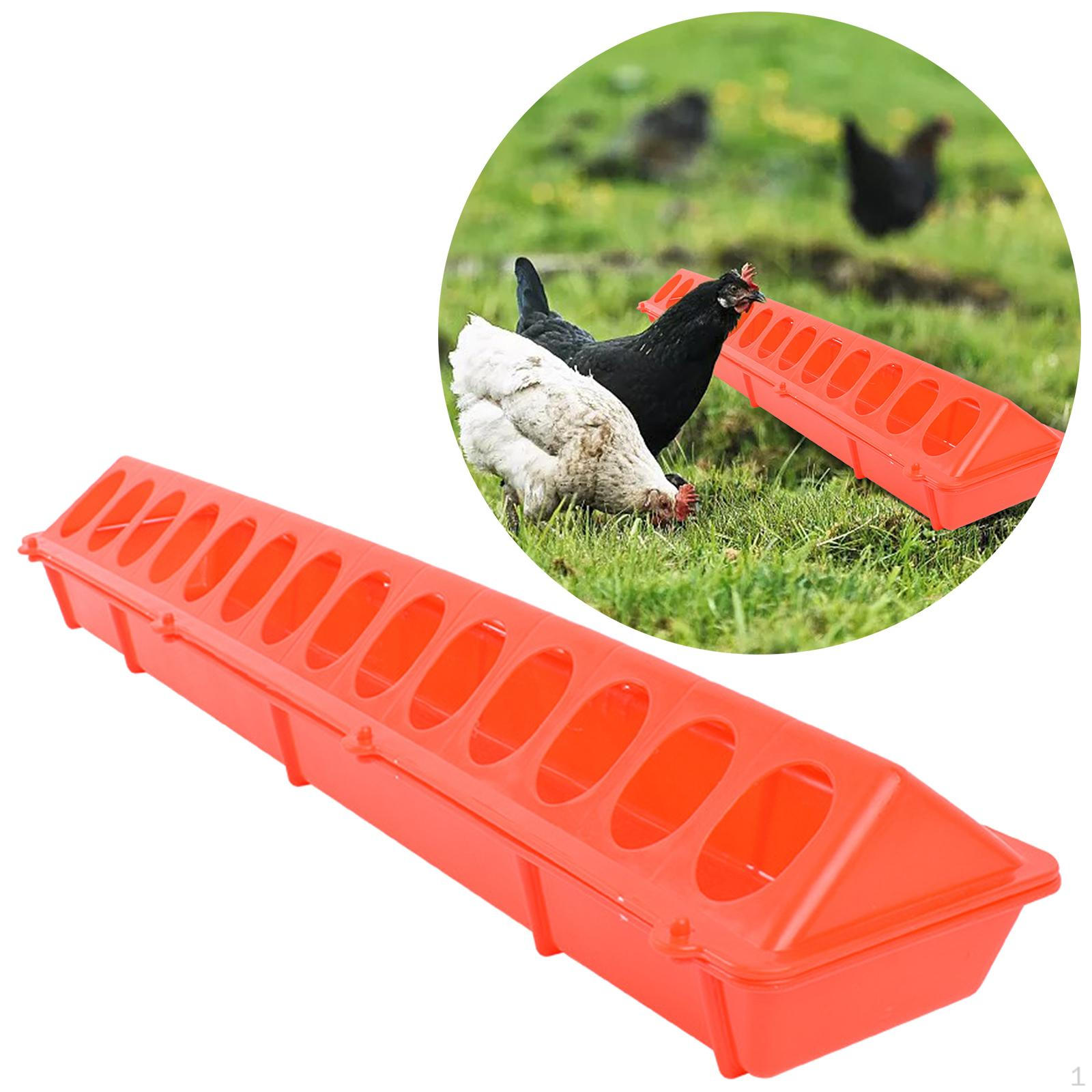 

Poultry Feeder Box Farming Tool Bird Feeding Long Trough for Peacock Cockatiels