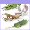 Atemberaubendes Realistisches Insektenmodelle Set mit Hirschkäfer Blattmantis Orchideenmantis Und Mehr
