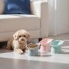 Pet Food Bowl Tilt High Bottom Neck Protector Antichoking Dog And Cat Water Bowl Antidumping Dog Feeding Supplies