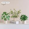Nordic Bionic Green Faux Bonsai Plants - Indoor Tabletop Decor for Office & Living Room