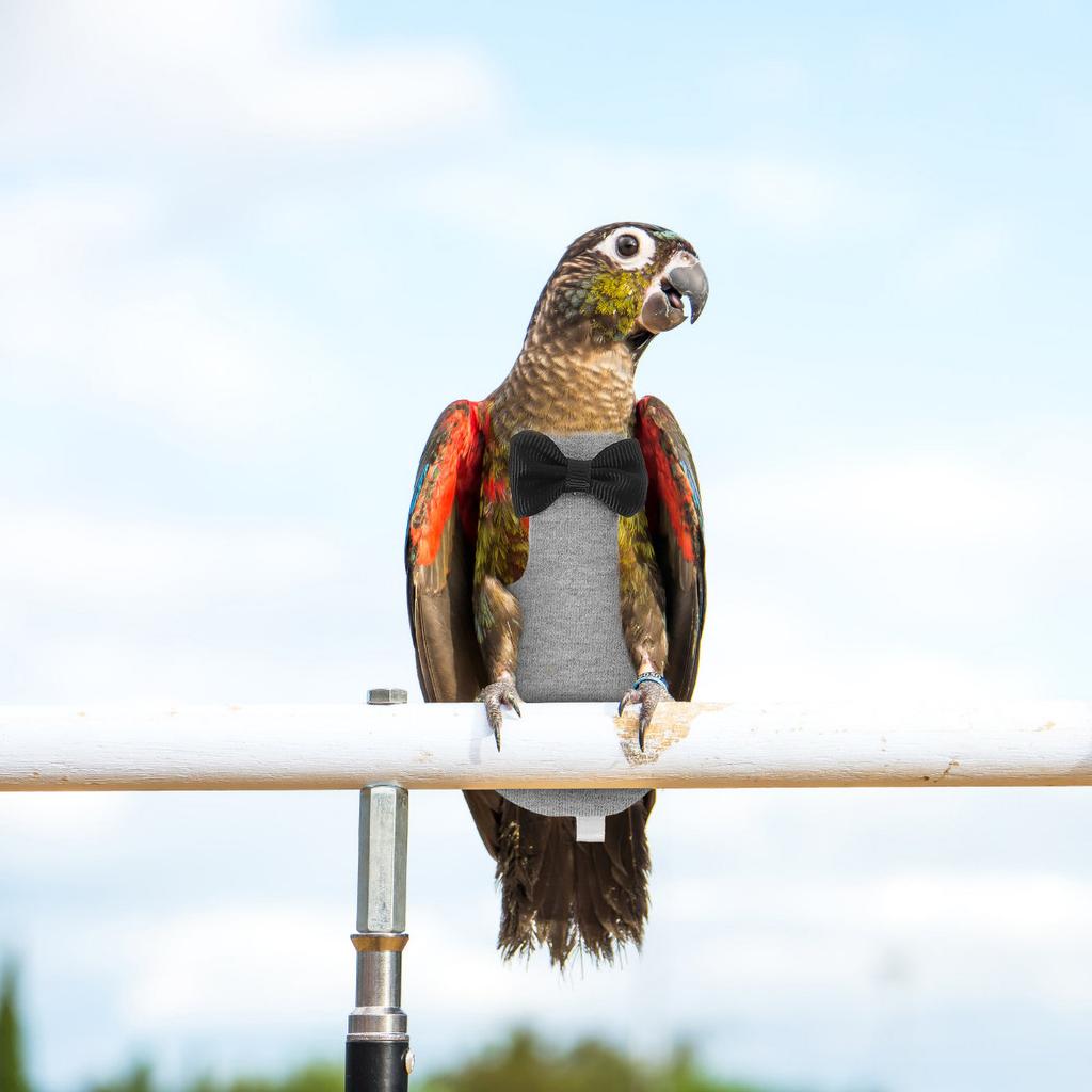 Creative Parrot Diaper Clothes Lovely Print Bird Flight Suit Reusable Comfortable Costume for Pet Bird Decorative Fashion