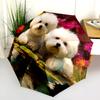 Two Bichon Pattern, Automatic Folding Umbrella, Portable and Foldable Design, 8 Ribs, a Christmas or Birthday Gift.