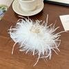 Autumn and Winter New Style Super Fairy Feather Catch Clip Large Hair Volume Large Back of The Head Shark Clip Pure Desire Wind Hair Clip Headdress