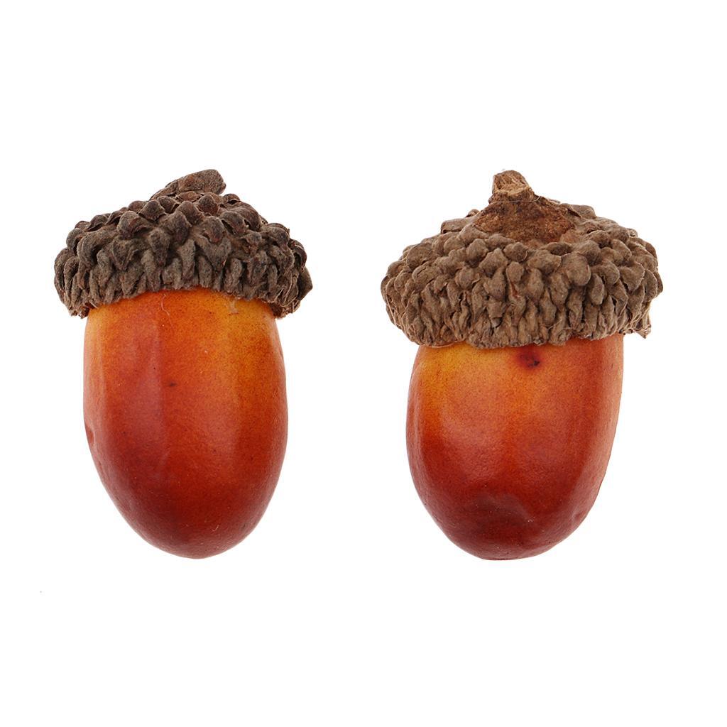 100Pcs Natural Acorns Real Acorns Caps Home DIY Christmas Natural Acorn