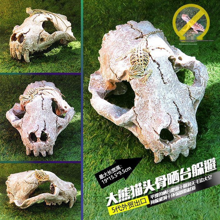 Akril Hüllőtenyésztő Doboz Dekoratív Koponyával