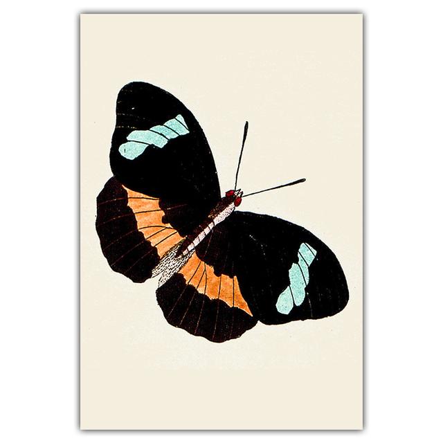 Artă retro, fluture colorat, pictură pe pânză, carte de artă de perete, poster pentru știința și educația animalelor, coridor, decorare a casei, murală fără cadru