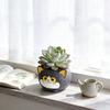 Black Cats Design Resin Flower Pot With Drainage Hole For Succulents Indoor Plant Small Planter Home Garden Decoration