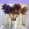 Artificial Australis Phragmites Plant Plastic Fake Flower Living Room Decoration