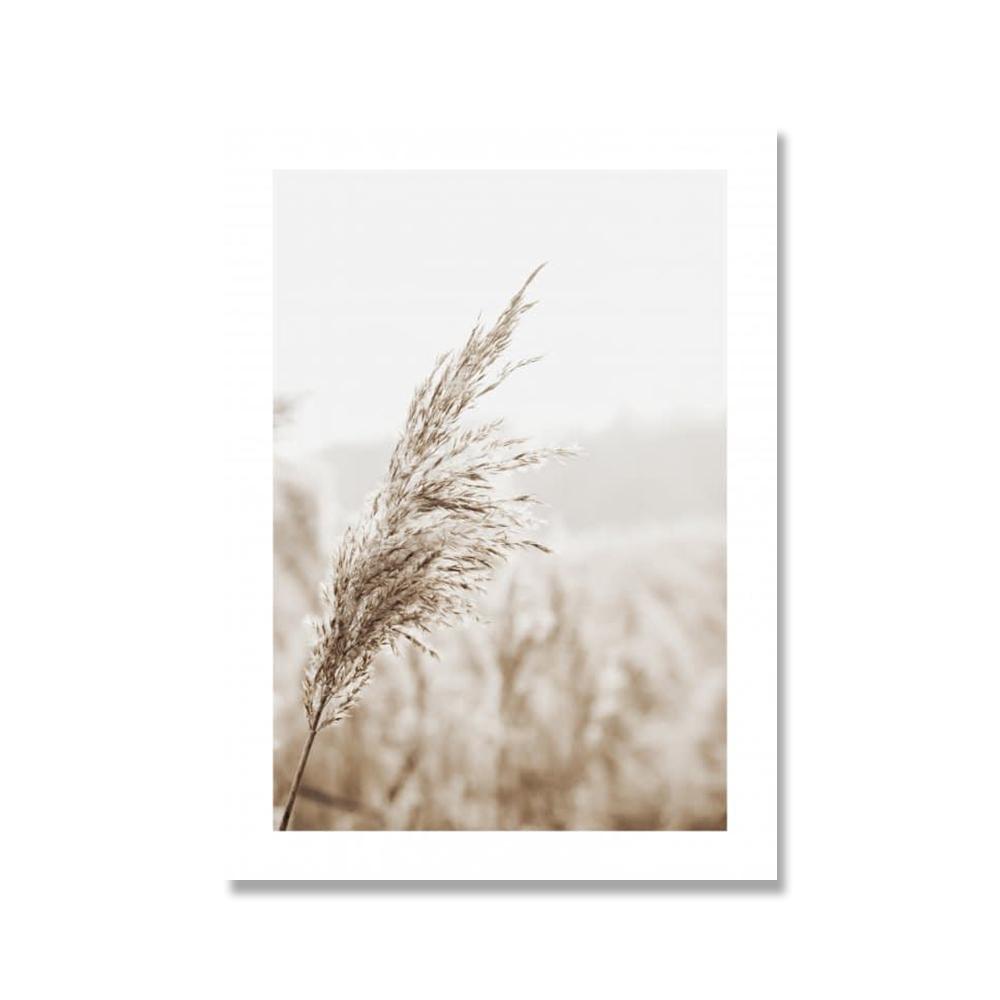 Calm Beach In the Reed Landscape Poster Print Grass Archipelago Canvas Art Painting Seascape Picture Living Room Wall Decoration No Frame