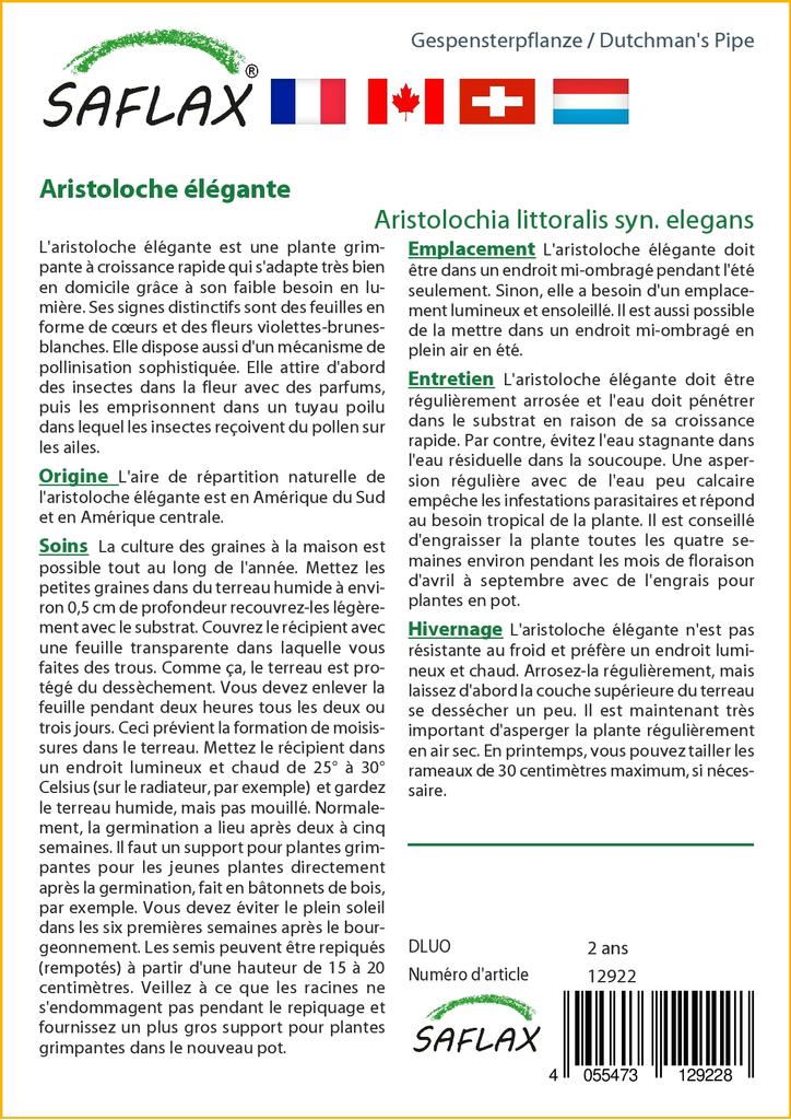 SAFLAX מקטרת ההולנדי - 80 זרעים - Aristolochia littoralis
