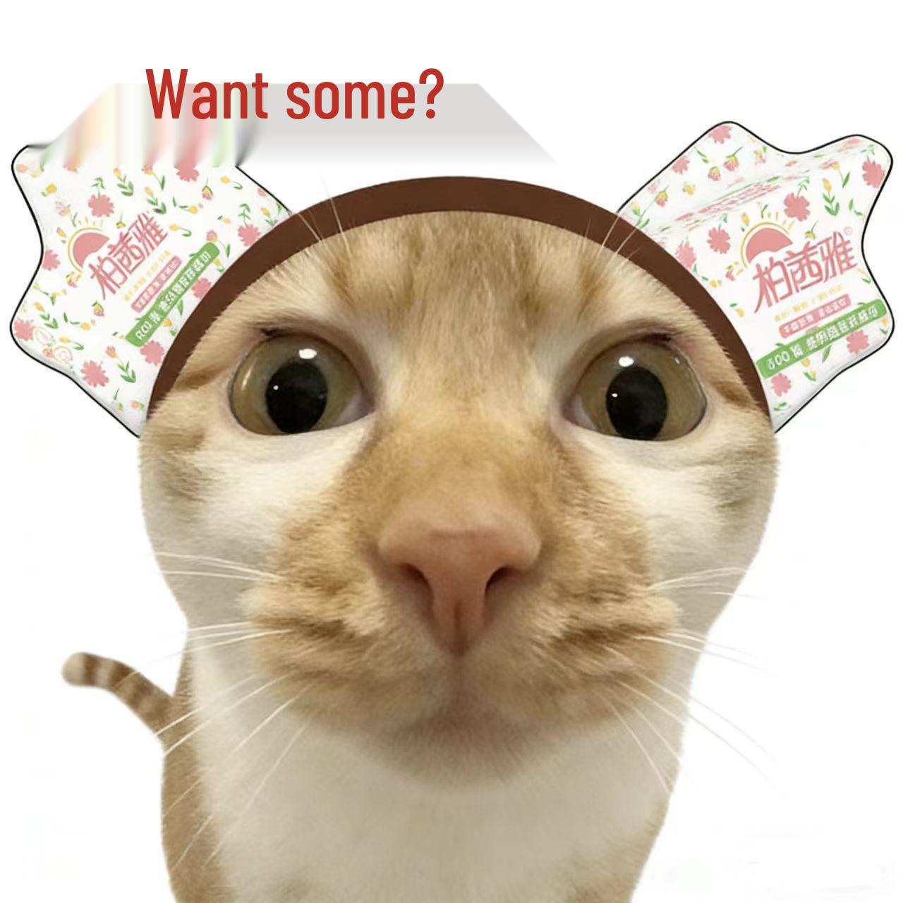 500 Sheets Household Value Pack Facial Tissues - One Whole Box