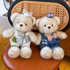 Teddy Bear With Clothes Plush Toy Cartoon Stuffed Doll Decoration Kids Gift