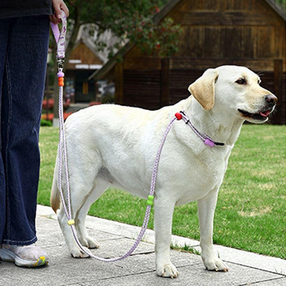 Anti-Pull Dog Harness and Leash Adjustable P Chain Leash Dog Collar Leash  Daily Use