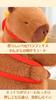 REDICE Plush Toy - Capybara Animal Plush Toy [Authentic][Gift Bag Included] Capybara Chef Style with Detachable Potato Backpack - Skin-Friendly