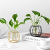 Vase 1 pièce en verre, ornements hydroponiques, Pothos, décoration de salon, bureau, arrangement floral
