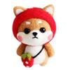 Felting Kit DIY For Beginners With