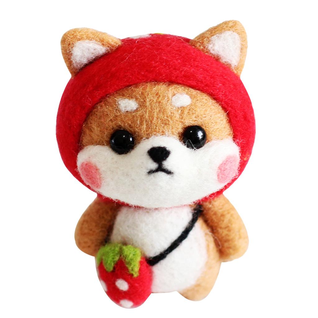 Felting Kit DIY For Beginners With