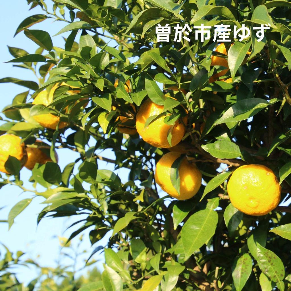 Kosei Brewery Kozuru Sour Yuzu Lemon Liqueur, 25% ABV, 600ml