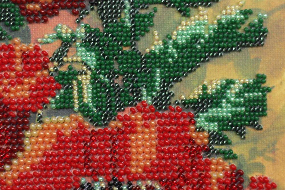 Kit for Embroidery with MICRO Beads On Canvas Abris Art