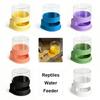 Anti-slip Base Reptiles Water Feeder Detachable Turtle Water Bowl Reptile Water Dispenser  Snakes