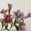 3 Blütenköpfe Künstliche Lilienblüten Ölmalerei-Finish Leichter Luxus-Stil Seiden-Lilien-Strauß 73 cm Länge