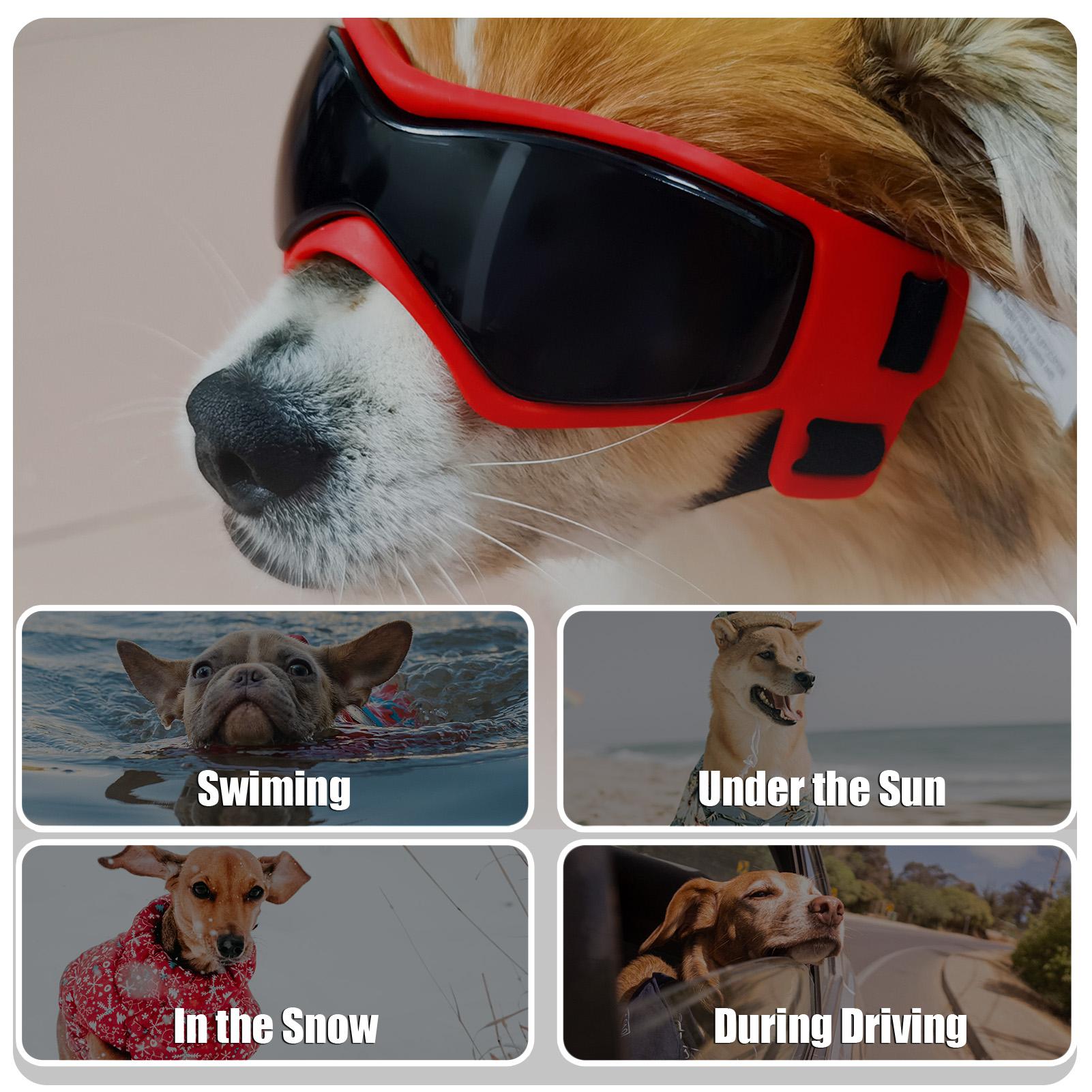 Dog Goggles  ive Sunglasses   Pet Glasses for Small Medium Dogs