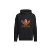 Originals Sweatshirts Herren Schwarz Mit Kapuze Moderat Regular HD0319