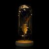 LED Light Preserved Rose Flower Glass Cover Artificial flowers Rose LED Light  Valentine's Day