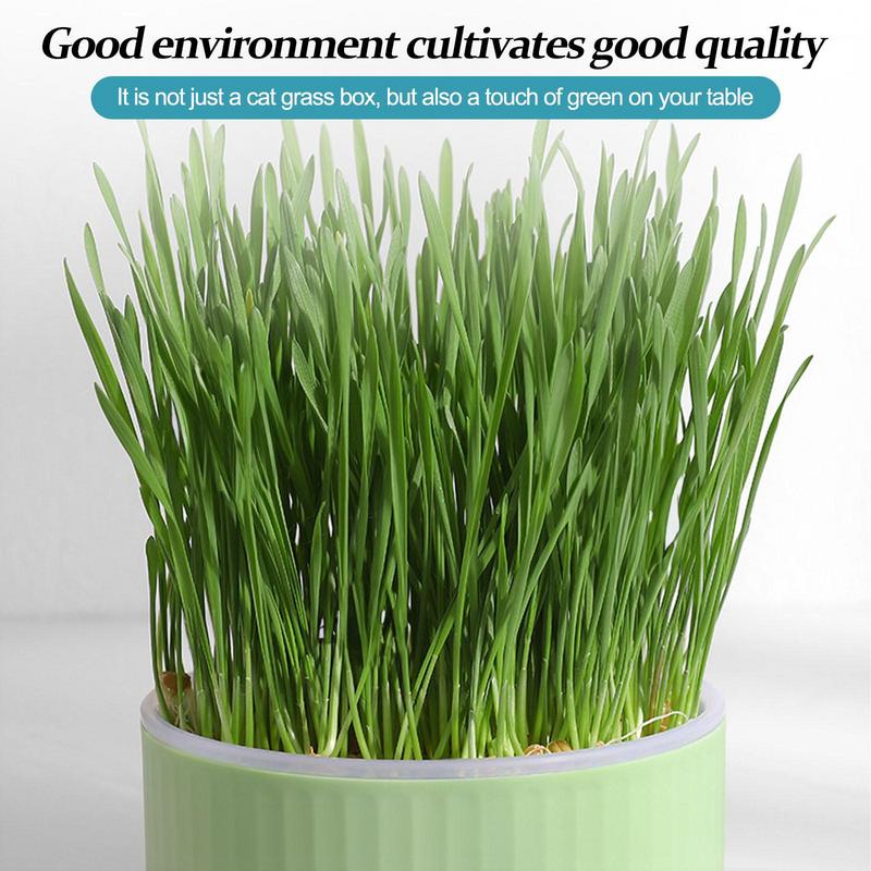 Cat Snack Mint Planting Hydroponic Plastic Box Cat Pot Contrast Hydroponic Det Cat Grass Plant Bowl Without Seed Garden Supply