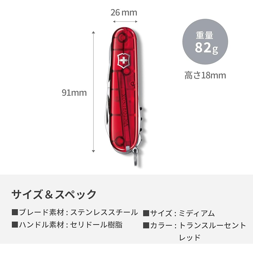 VICTORINOX Cyber Traveler T (1.3703.T)