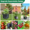 4Pack Raised Garden Bed Planter Boxes with Trellis 57 Self-Watering Tomato Planter Boxes with Trellis for Climbing Vegetable an