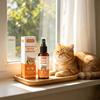 50ml Pet Training Spray For Attractant Furniture Protection Stop Cats Biting Scratching Gentle Safe Effective Pet Training Spray